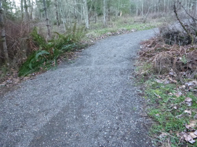 Access route from Sunnyside and Cedar Park access trails has compacted crushed rock
